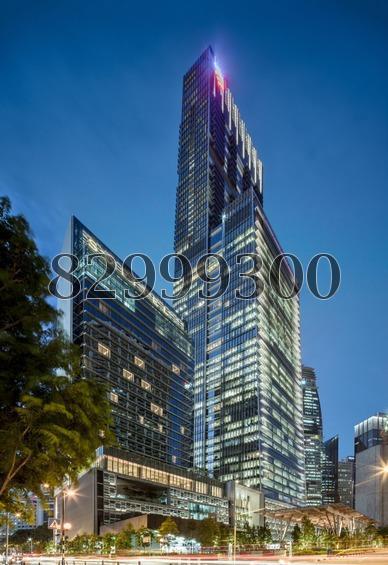 Wallich Residence At Tanjong Pagar Centre (D2), Apartment #160746462